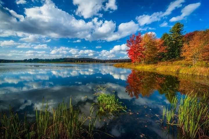 121966251_3903354376359361_1848640087878932746_n